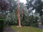 Prio 2 Stormschade Mr Andreaestraat Kollum
